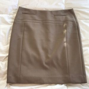 Express Pencil Skirt